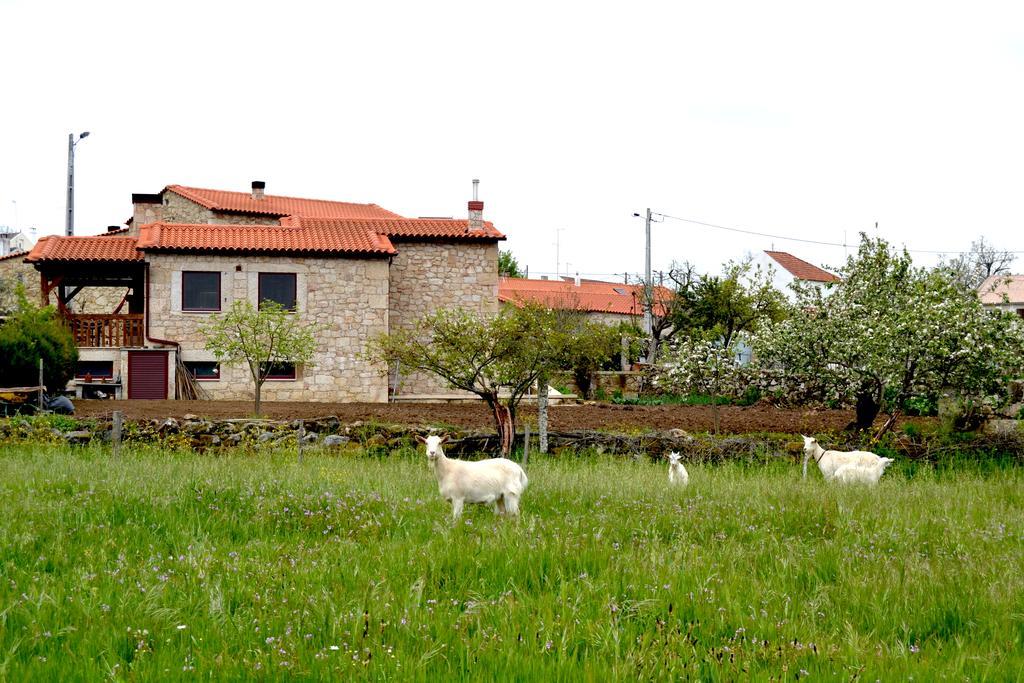 Carya Tallaya - Casas De Campo Vale das Éguas Екстериор снимка